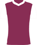 Burnley FC logo Burnley FC logo